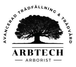 Trädfällare i Järna, Gnesta och Södertälje