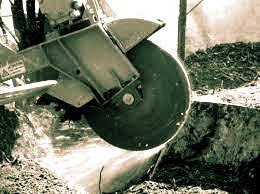 Stubbfräsning och eliminering av stubbar