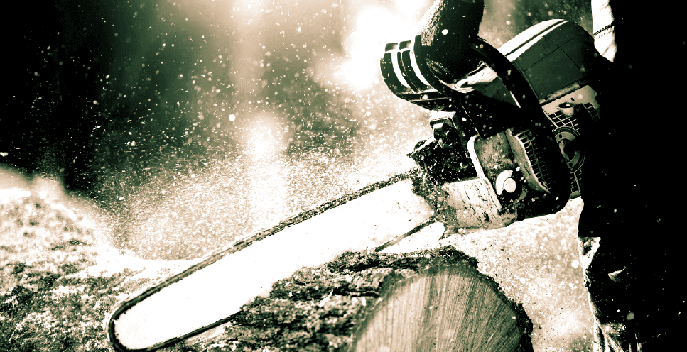 Trädfällning träd fällning i Gnesta Järna